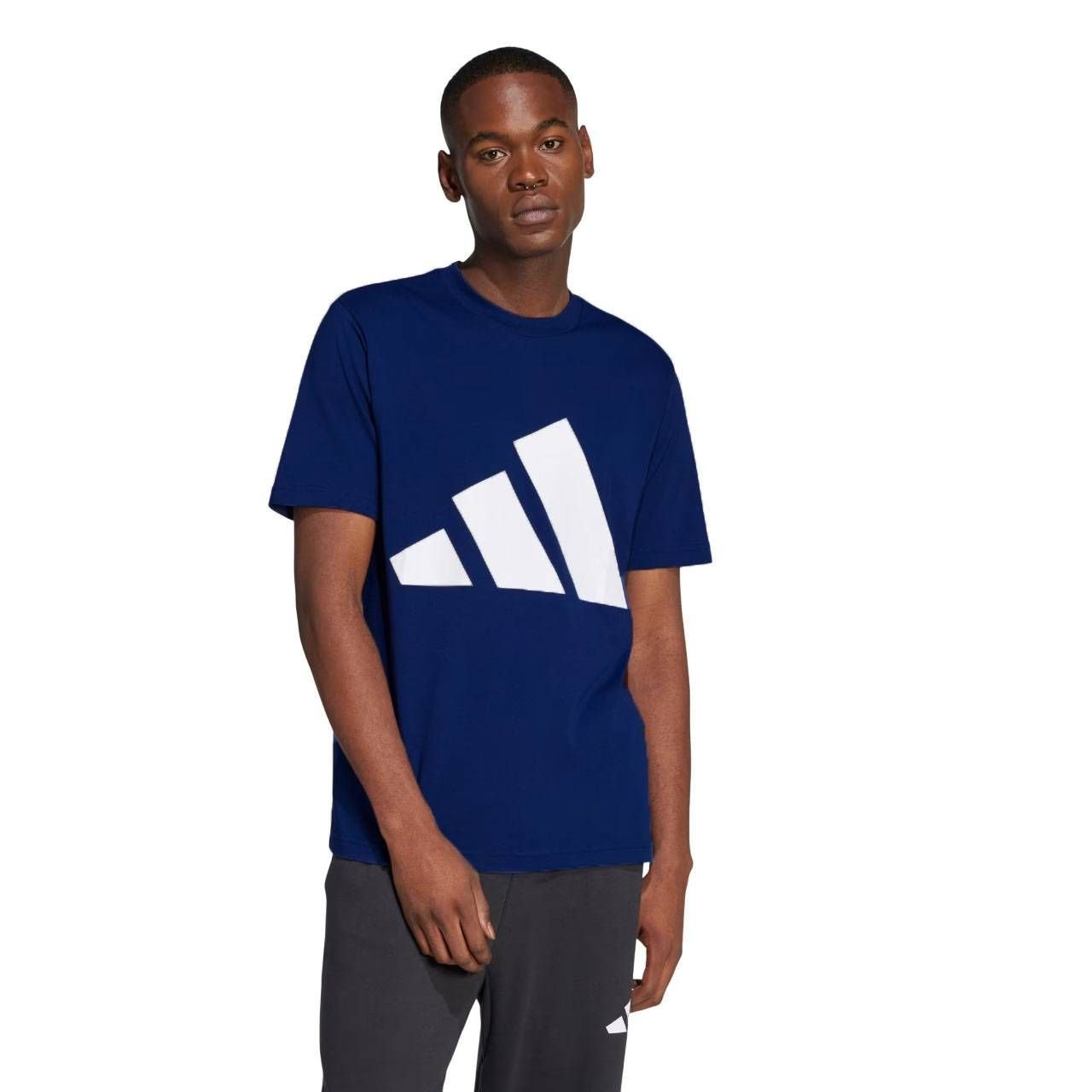 Camiseta Adidas M/C Big Logo Masculina JE8940 - Ativa Esportes