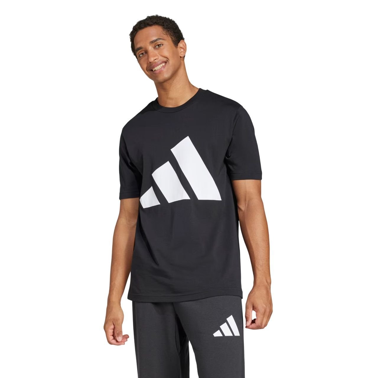 Camiseta Adidas M/C Big Logo Masculina JE8945 - Ativa Esportes