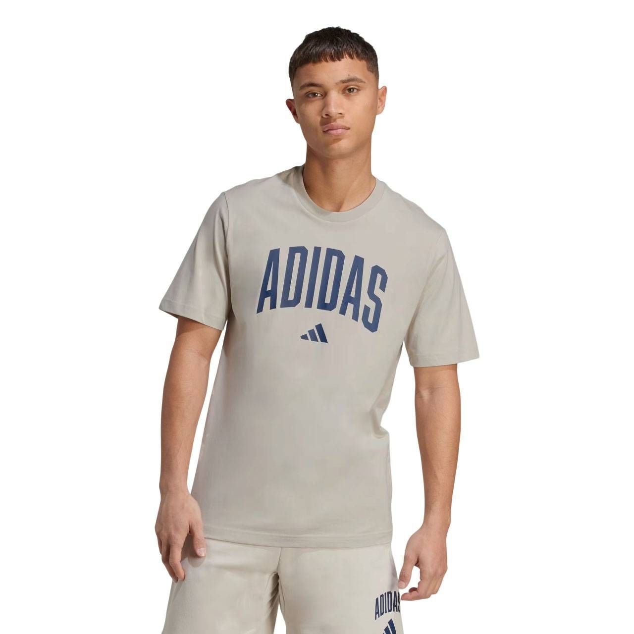 Camiseta Adidas M/C Gráfica Collegiate Masculina JM6415 Bege