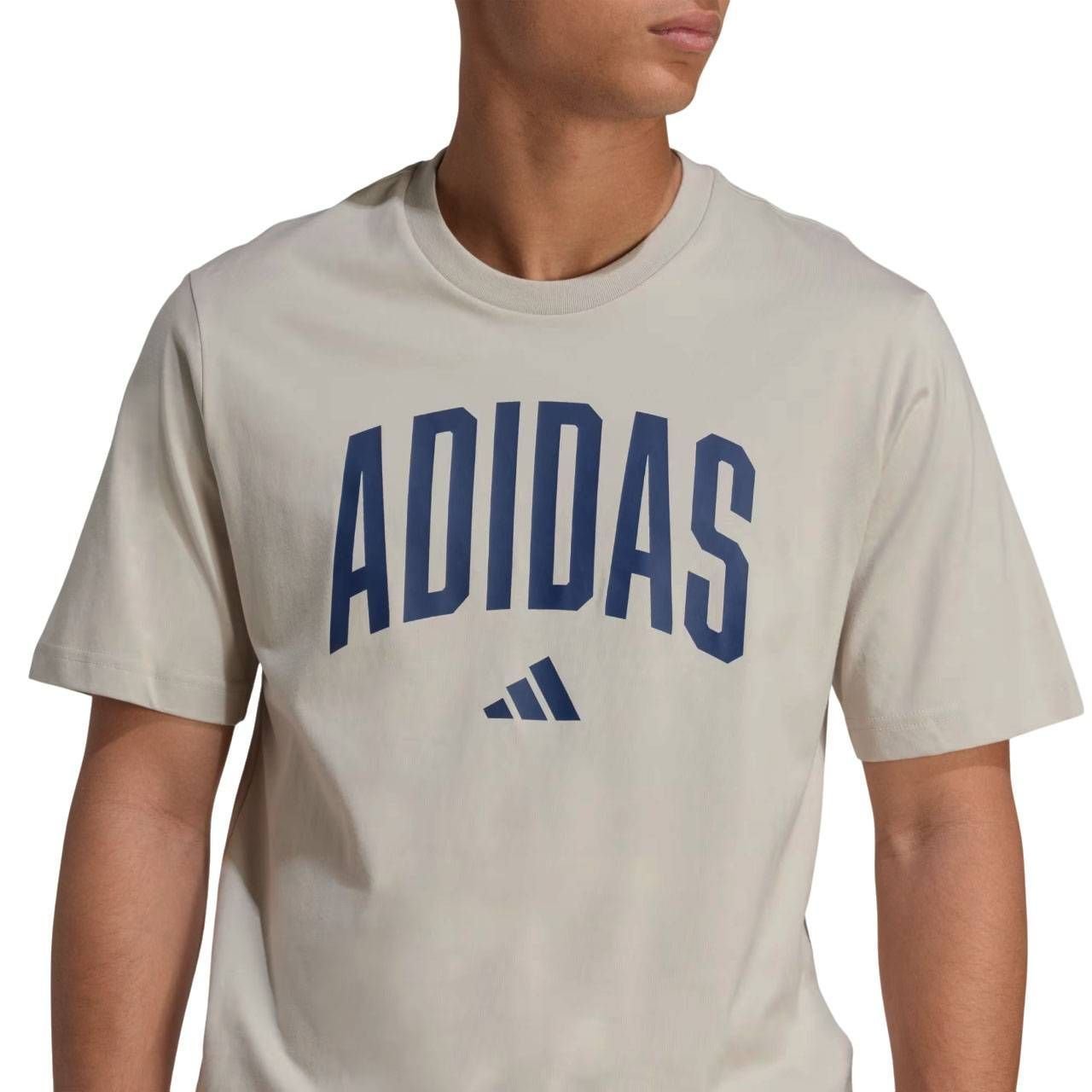 Camiseta Adidas M/C Gráfica Collegiate Masculina JM6415 Bege
