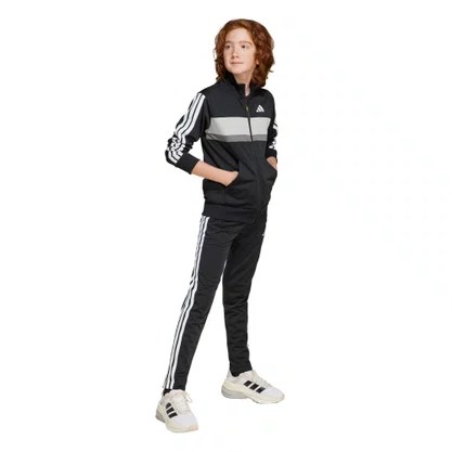 Agasalho Juvenil Adidas Seasonal Essentials Tiberio JY0509