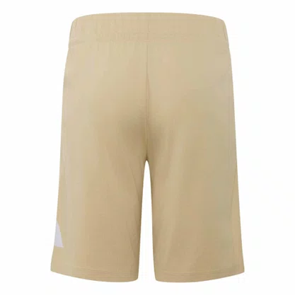 Bermuda Juvenil Adidas Essentials Big Logo KQ7804