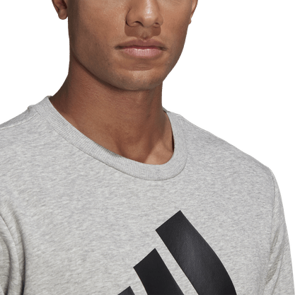 Blusa Moletom Adidas Essentials Big Logo Masculina GK9077