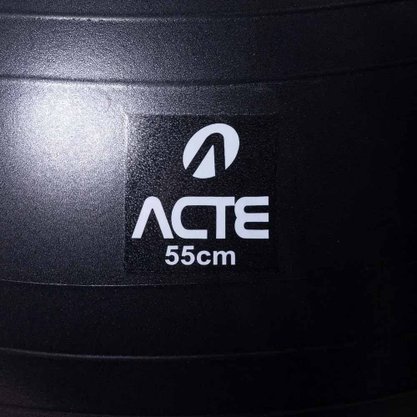 Bola Acte Gym Ball 55cm Unissex T9-55P