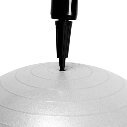 Bola Acte Gym Ball 65cm Unissex T9-C