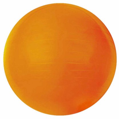 Bola Acte Sports Gym Ball 45CM Unissex T9-45
