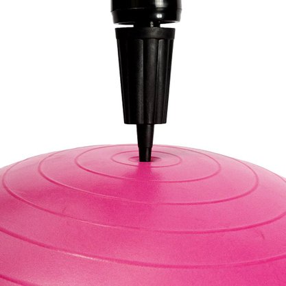 Bola de Pilates Acte Gym Ball 65cm c/ bomba Unissex T9-RS