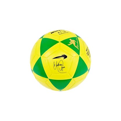 Bola Futvôlei Mikasa Couro Sint Anderson Aguia FT-5GY-FVA1