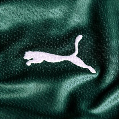Camisa Infantil Puma Palmeiras I 22/23 Torcedor 768979-01