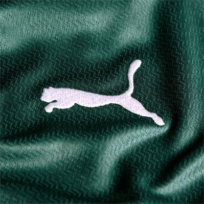 Camisa Palmeiras Puma I 22/23 Torcedor Masculina 768978-01