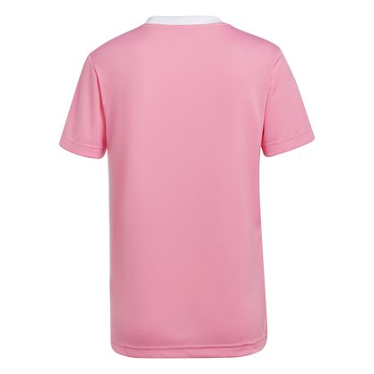 Camiseta Adidas Entrada 22 Feminina HC5075