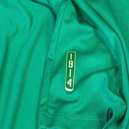 Camiseta Betel M/C Palmeiras 1914 Masculino 9926049-0496