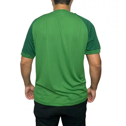 Camiseta Betel M/C Palmeiras Line Masculina 9925165-04