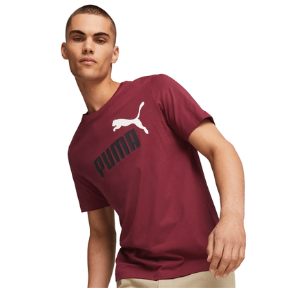 Camiseta Essentials +2 Colour Logo Masculino 586759-23