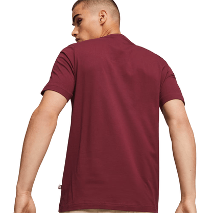 Camiseta Essentials +2 Colour Logo Masculino 586759-23