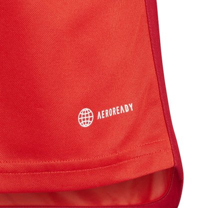 Camiseta Infantil Adidas Internacional 23/24 HS5337