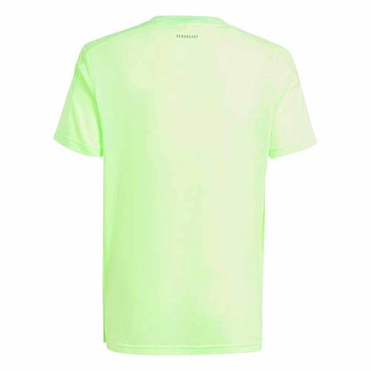 Camiseta Infantil Adidas M/C Training Aeroready IR6463