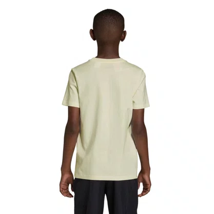 Camiseta Juvenil Adidas M/C Collegiate Graphic KE1347