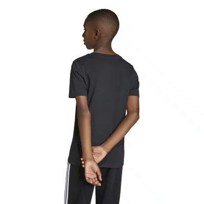 Camiseta Juvenil Adidas M/C Collegiate Graphic KE1348