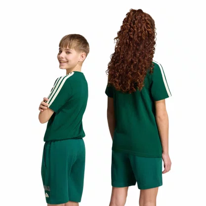 Camiseta Juvenil Adidas M/C Collegiate KE1639