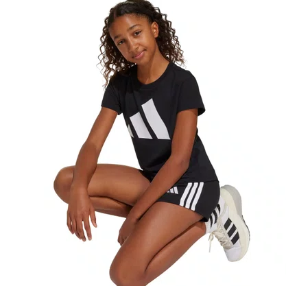 Camiseta Juvenil Adidas M/C Essentials Big Logo JC9624
