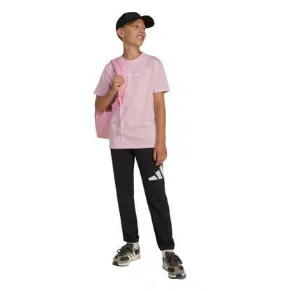 Camiseta Juvenil Adidas M/C Logo Linear JC9750