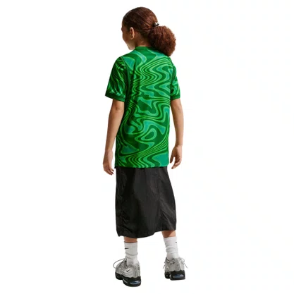 Camiseta Juvenil Nike M/C Brasil Torcedor II 26/27 IB5091-302