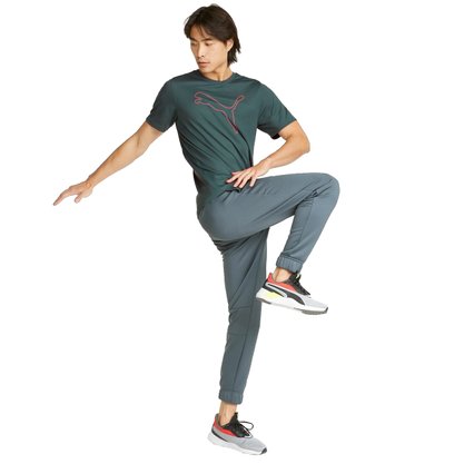 Camiseta Puma Performance Cat Masculina 520491-42