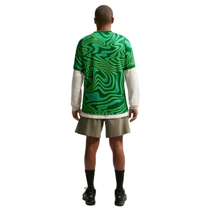 Camiseta Nike M/C Brasil Goleiro Tor Pro 26 Masc IB5267-302
