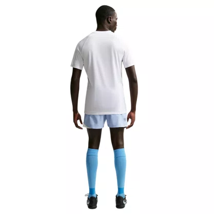 Camiseta Nike M/C DF Park VIII Masculina HV8173-100