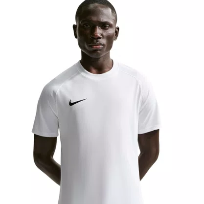 Camiseta Nike M/C DF Park VIII Masculina HV8173-100