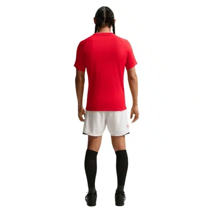 Camiseta Nike M/C DF Park VIII Masculina HV8173-657