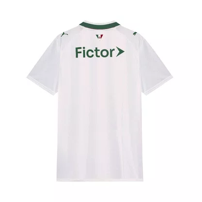 Camiseta Puma M/C Palmeiras Torcedor II 26 Masc 787257-01