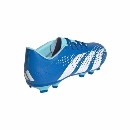 Chuteira Adidas Campo Predator Accuracy.4  Masculina GZ0010