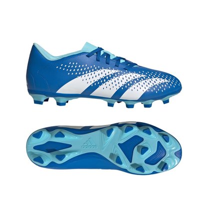 Chuteira Adidas Campo Predator Accuracy.4  Masculina GZ0010
