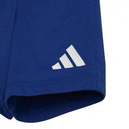 Conjunto Adidas Infantil 3 Stripes JC9641