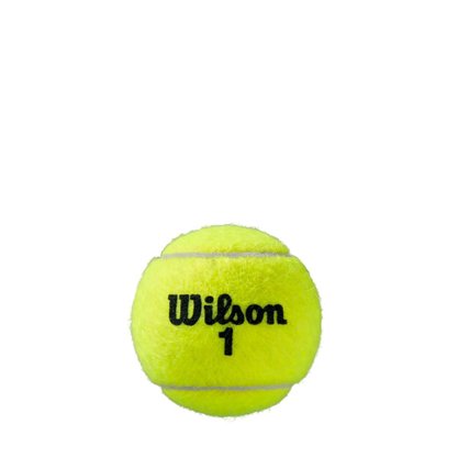 Kit Bolas Wilson Tennis Roland Garros All Co WR8204601001