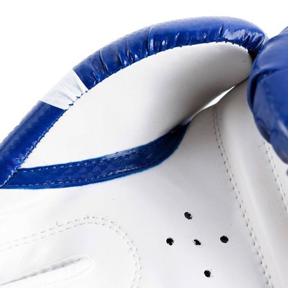 Luva de Boxe Acte Premium Unissex P15
