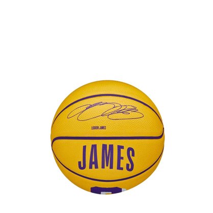 Mini Bola Basquete Wilson NBA Player Lebron WZ4007201XB3