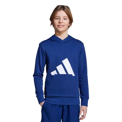 Moletom Juvenil Adidas C/Capuz Essentials JV9902
