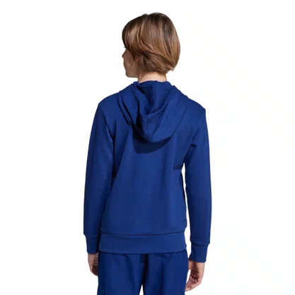 Moletom Juvenil Adidas C/Capuz Essentials JV9902
