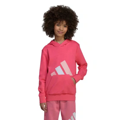 Moletom Juvenil Adidas C/Capuz Essentials JV9903