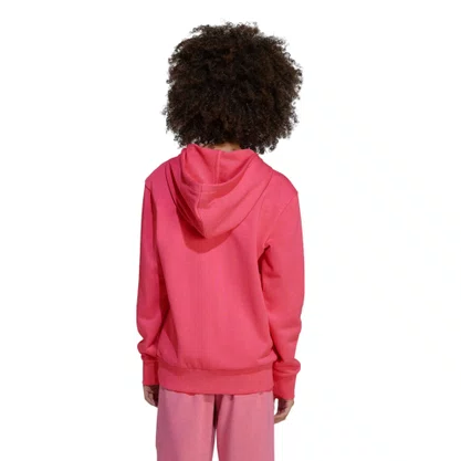 Moletom Juvenil Adidas C/Capuz Essentials JV9903