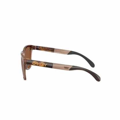 Óculos Oakley Solar Frogskins Rangel XL Unissex OO9503-02