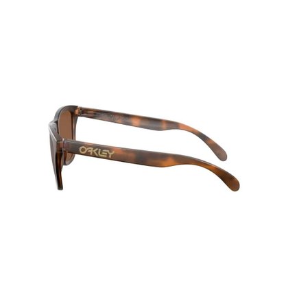Óculos Oakley Solar Frogskins Unissex OO9013-C5