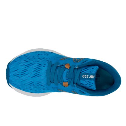 Tênis New Balance 520 Feminino W520AD7