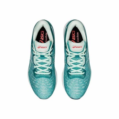 Tênis Asics Evoride Feminino 1012A677-300