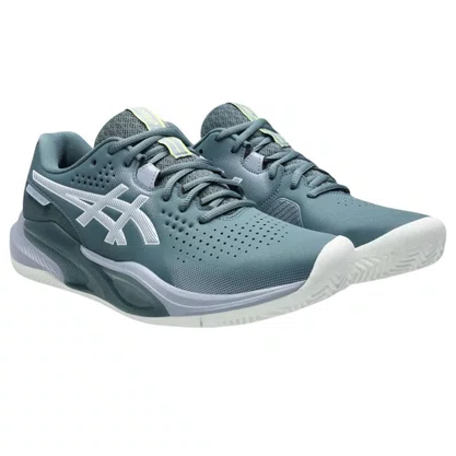Tênis Asics Gel Challenger 15 Clay Masculino 1041A508-020