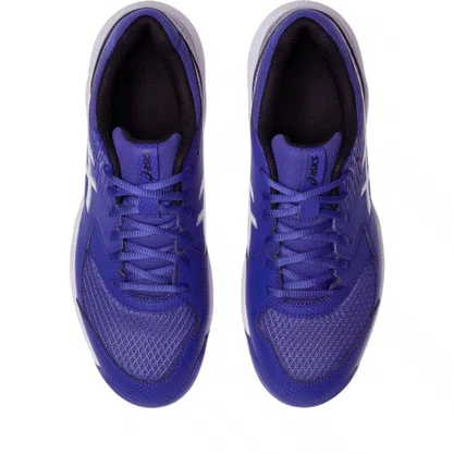 Tênis Asics Gel Dedicate 8 Clay Masculino 1041A448-402