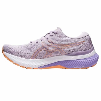 Tênis Asics Gel Kayano 29 Feminino 1012B272-501